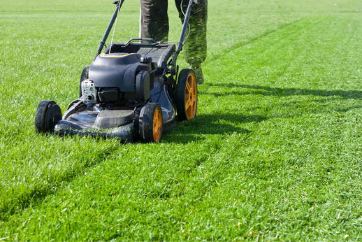 Grass cutting service by All Surface Cleaning in Dublin