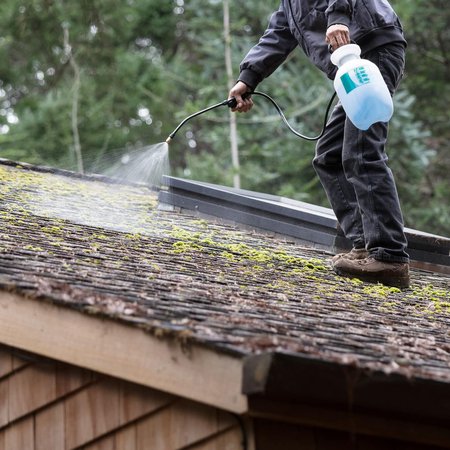 Roof cleaning service by All Surface Cleaning in Dublin